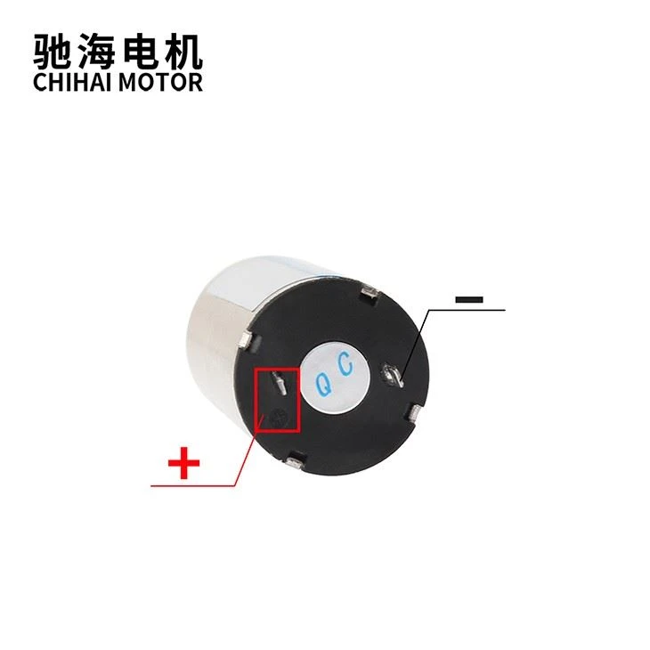 Permanent Magnet DC Coreless Motor Worm Shaft high quality